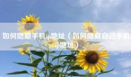 如何隐藏手机ip地址（如何隐藏自己手机ip地址）