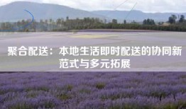 聚合配送：本地生活即时配送的协同新范式与多元拓展