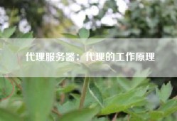 代理服务器：代理的工作原理