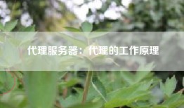 代理服务器：代理的工作原理