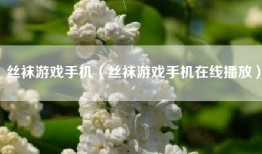 丝袜游戏手机（丝袜游戏手机在线播放）