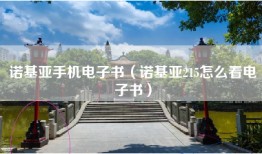 诺基亚手机电子书（诺基亚215怎么看电子书）