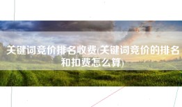 关键词竞价排名收费(关键词竞价的排名和扣费怎么算)