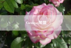 Cococean加盟
