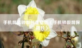 手机屏幕碎裂创意壁纸（手机碎裂屏保图片）