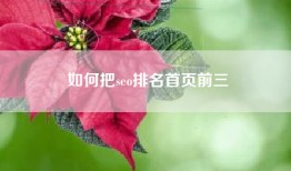 如何把seo排名首页前三