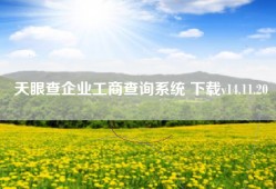 天眼查企业工商查询系统 下载v14.11.20