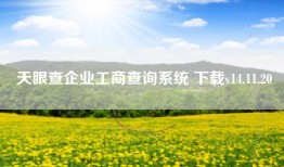 天眼查企业工商查询系统 下载v14.11.20