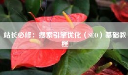 站长必修：搜索引擎优化（SEO）基础教程