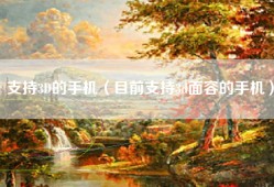 支持3D的手机（目前支持3d面容的手机）