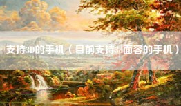支持3D的手机（目前支持3d面容的手机）