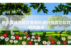 刷百度排名软件靠谱吗,刷百度排名软件的优缺点