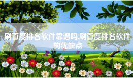刷百度排名软件靠谱吗,刷百度排名软件的优缺点