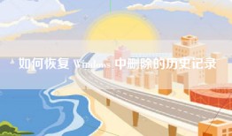 如何恢复 Windows 中删除的历史记录