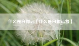什么是白帽seo【什么是白帽运营】