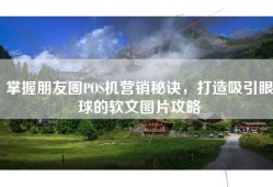 掌握朋友圈POS机营销秘诀，打造吸引眼球的软文图片攻略