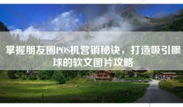 掌握朋友圈POS机营销秘诀，打造吸引眼球的软文图片攻略