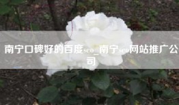 南宁口碑好的百度seo_南宁seo网站推广公司