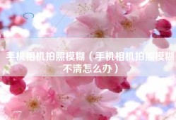手机相机拍照模糊（手机相机拍照模糊不清怎么办）