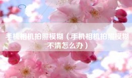 手机相机拍照模糊（手机相机拍照模糊不清怎么办）