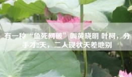 有一种“鱼死网破”叫黄晓明 叶柯，分手才2天，二人现状天差地别