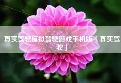 真实驾驶模拟驾驶游戏手机版「真实驾驶」