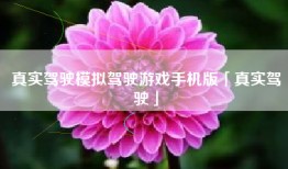 真实驾驶模拟驾驶游戏手机版「真实驾驶」
