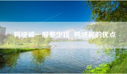 鸭绒被一般多少钱  鸭绒被的优点
