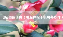 电脑操控手机（电脑操控手机屏幕软件）