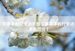 苹果手机打电话录音（苹果手机打电话录音软件）