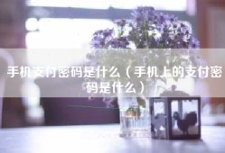 手机支付密码是什么（手机上的支付密码是什么）
