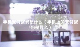 手机支付密码是什么（手机上的支付密码是什么）