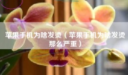 苹果手机为啥发烫（苹果手机为啥发烫那么严重）