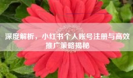 深度解析，小红书个人账号注册与高效推广策略揭秘