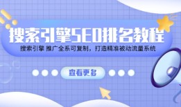 （11351期）搜索引擎SEO排名教程「搜索引擎 推广全系可复制，打造精准被动流量系统」