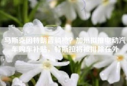马斯克因特朗普躺枪？加州拟推电动汽车购车补贴，特斯拉将被排除在外