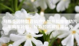 马斯克因特朗普躺枪？加州拟推电动汽车购车补贴，特斯拉将被排除在外