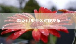 领克01EMP什么时候发布