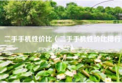 二手手机性价比（二手手机性价比排行榜2023）