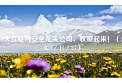 2大互联网安全龙头公司，收藏起来！（2024／11／27）