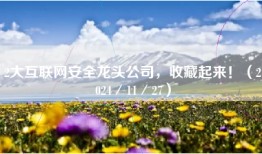 2大互联网安全龙头公司，收藏起来！（2024／11／27）