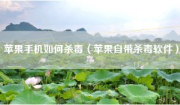 苹果手机如何杀毒（苹果自带杀毒软件）