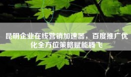 昆明企业在线营销加速器，百度推广优化全方位策略赋能腾飞