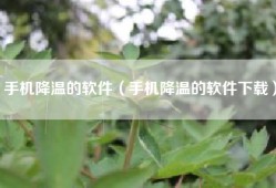 手机降温的软件（手机降温的软件下载）