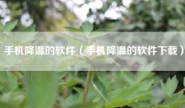 手机降温的软件（手机降温的软件下载）