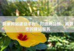 阿里网站建设平台：打造高品质、高效率的建站服务