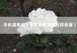 手机清系统（手机系统清除怎样恢复）