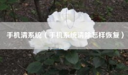 手机清系统（手机系统清除怎样恢复）