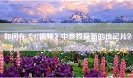 如何在《97视频》中查找最新的传记片？