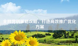 全网营销策略攻略，打造高效推广优化方案